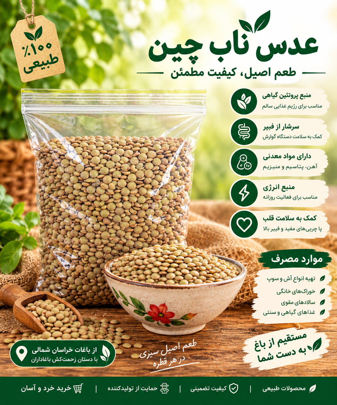 عدس محلی